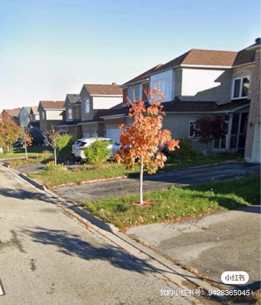 万锦独立屋 地下室2房2厅 1车位 独厨独厕 出租价格面议 51找房 加国无忧